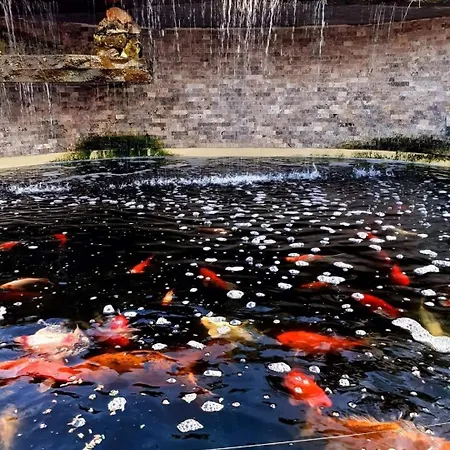 Complex Casa Ani * Eforie Nord