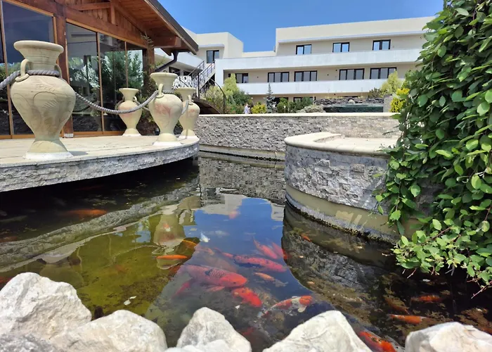 Complex Casa Ani Complex Eforie Nord