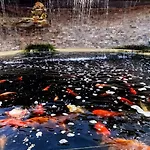 Complex Casa Ani * Észak-Eforie