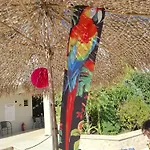 Complex Casa Ani Üdülőközpont