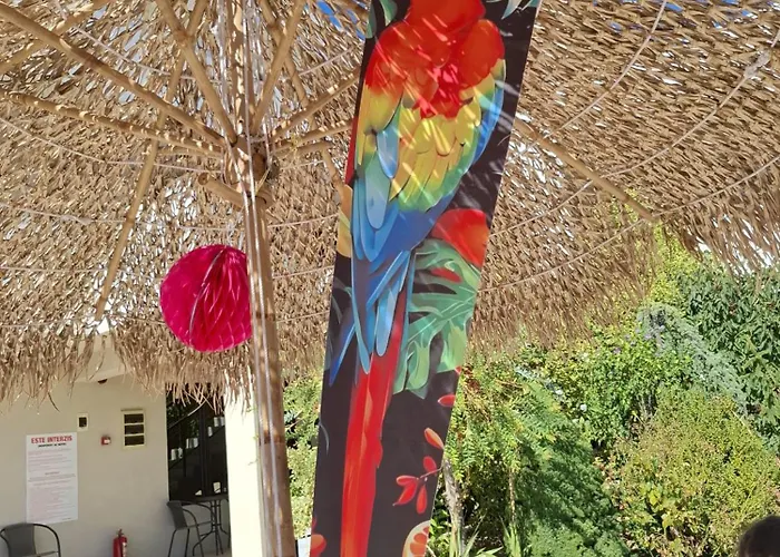 Complex Casa Ani Feriested